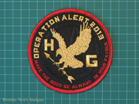 Click to enlarge 2013 Operation Alert